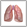 Icon for RESPIRATORY SYSTEM